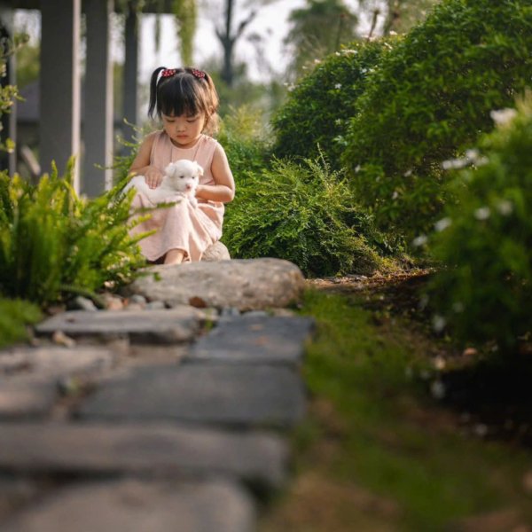 nhung chu thu cung retreat tai du an khu do thi eco retreat 11