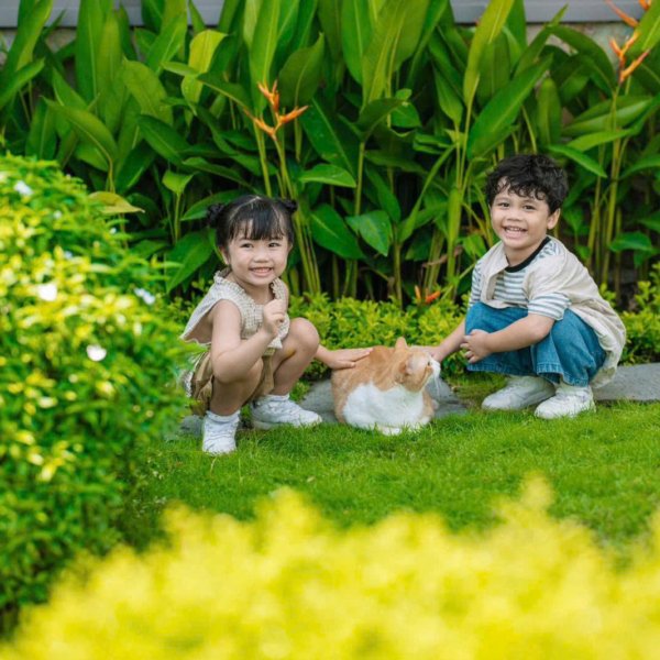 nhung chu thu cung retreat tai du an khu do thi eco retreat 3