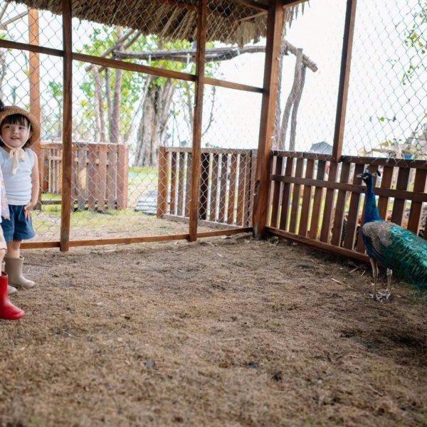 tre em vui choi tai khu do thi Eco Retreat 8