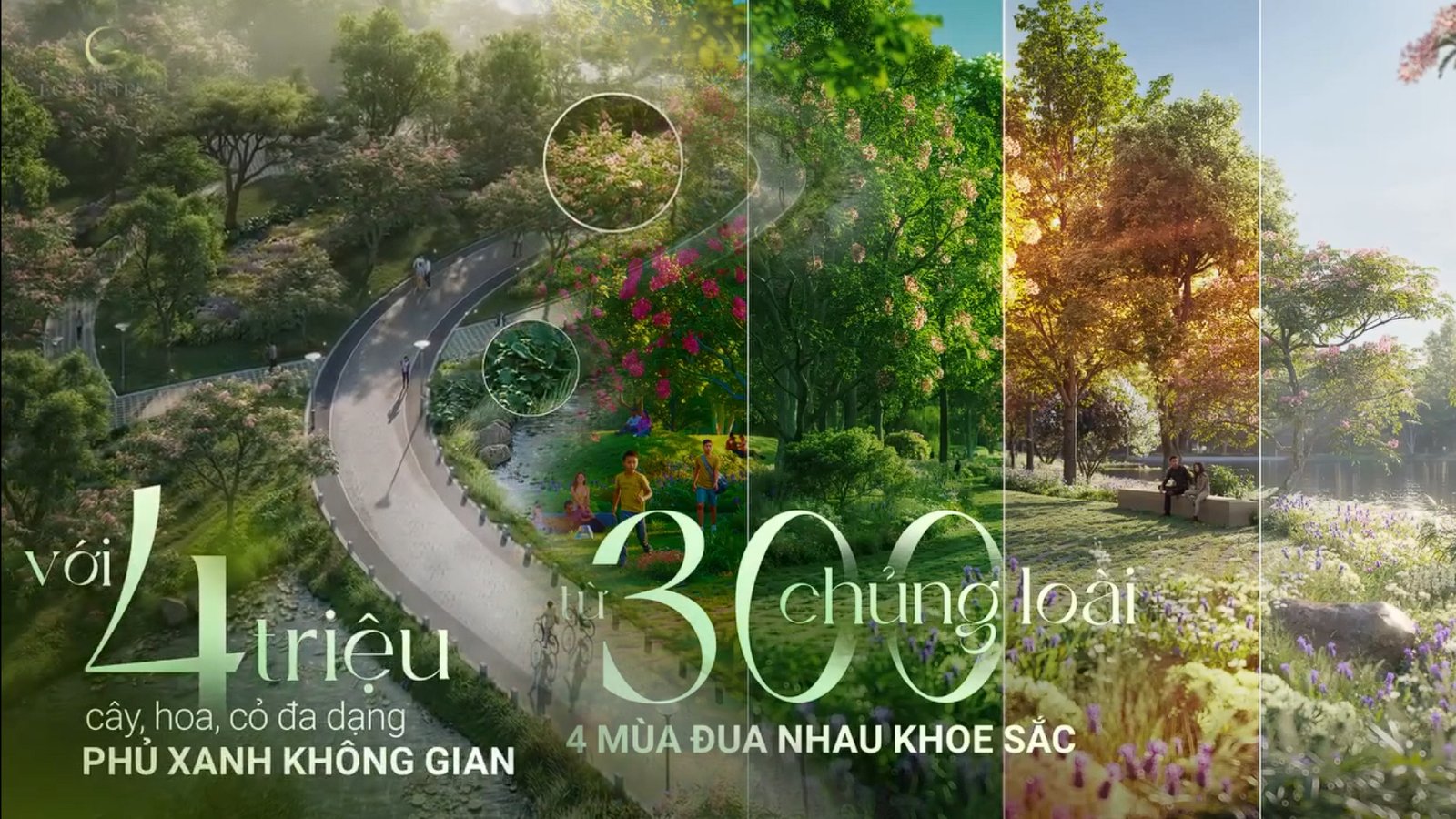 4 trieu cay va hoa 4 mua thay doi
