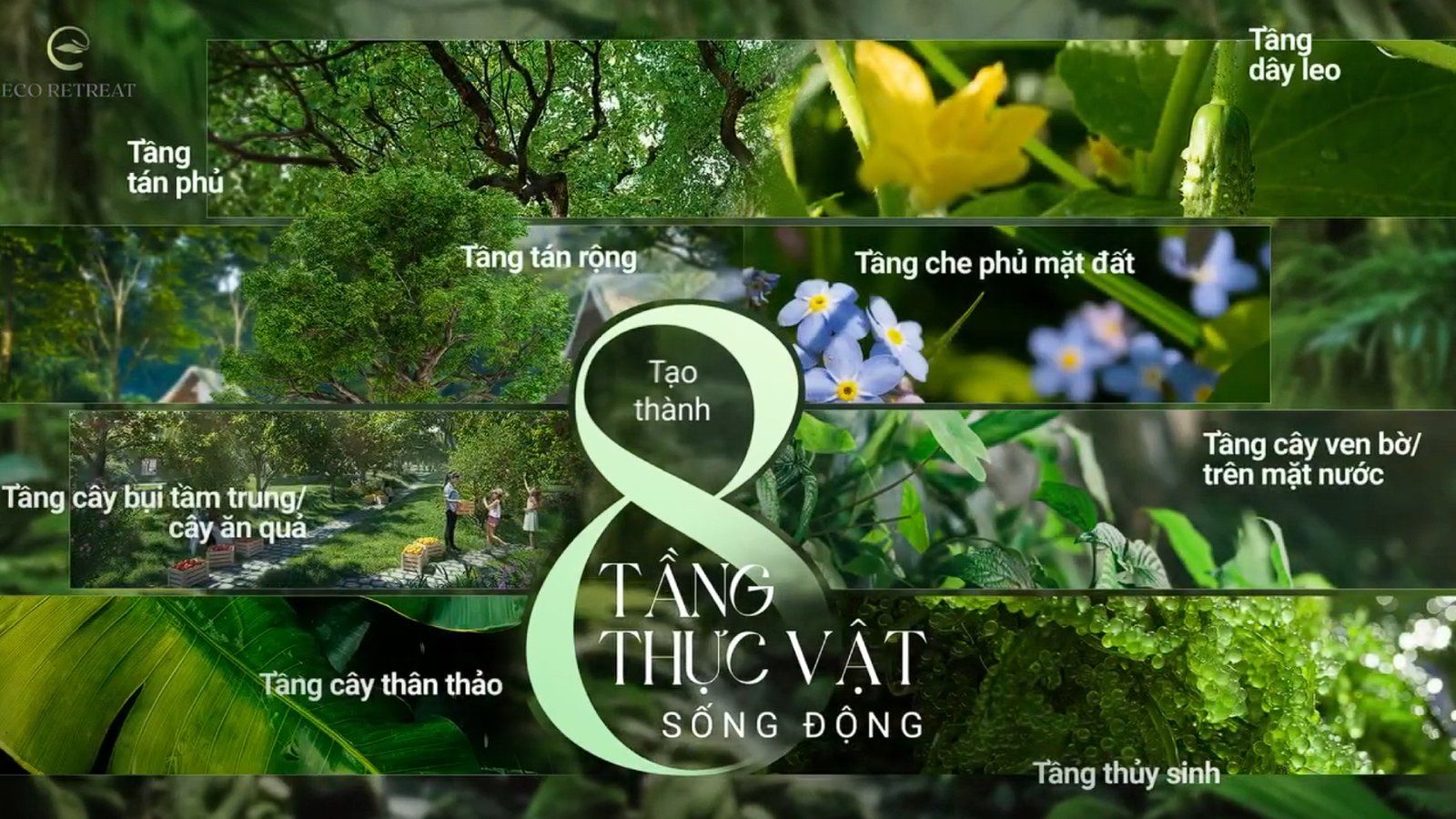 8 tang thuc vat