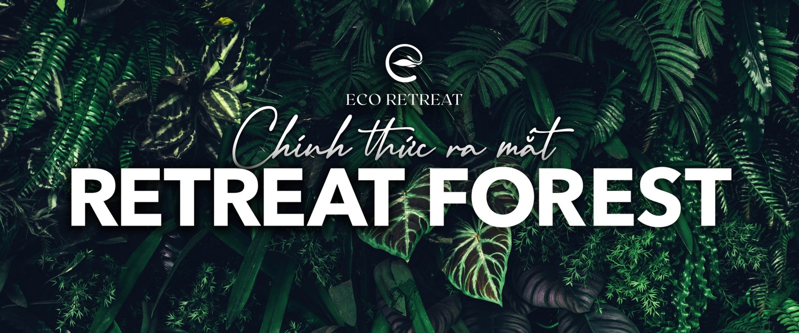 CONCEPT RETREAT FOREST page 0001 scaled