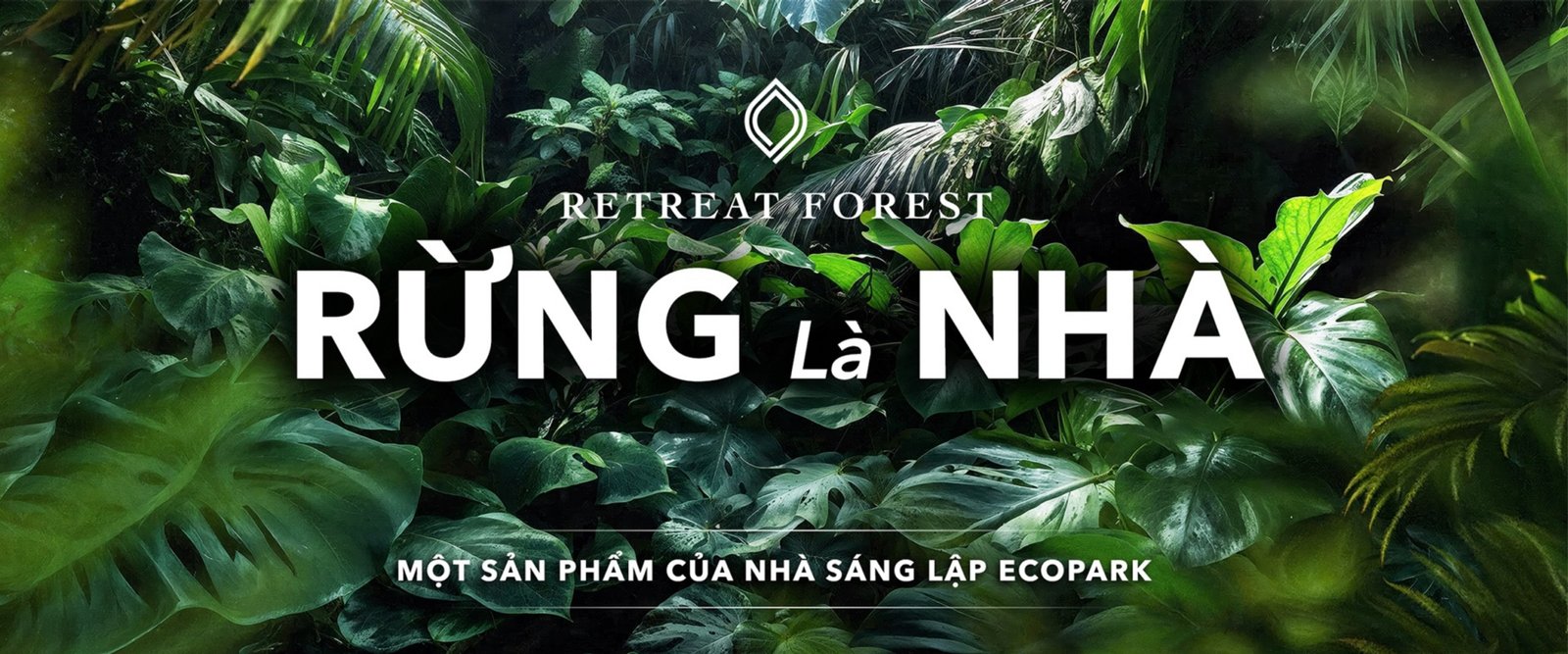 CONCEPT RETREAT FOREST page 0041 scaled