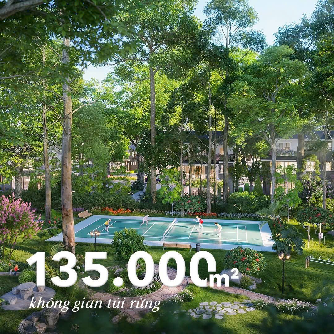 Nhung con so an tuong tai Retreat Forest 1