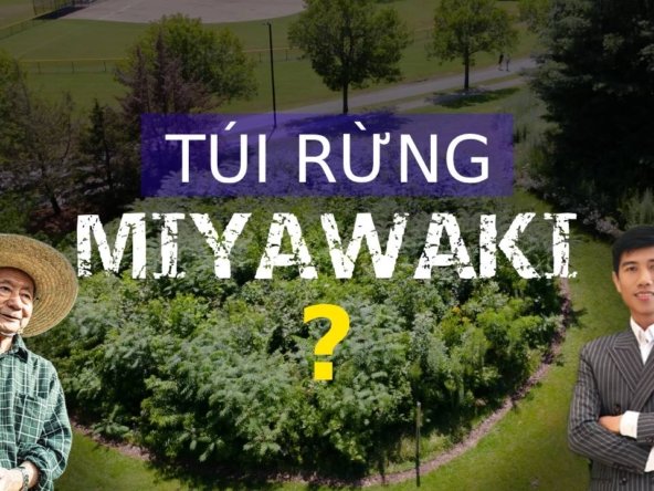 Tui rung miyawaki la gi