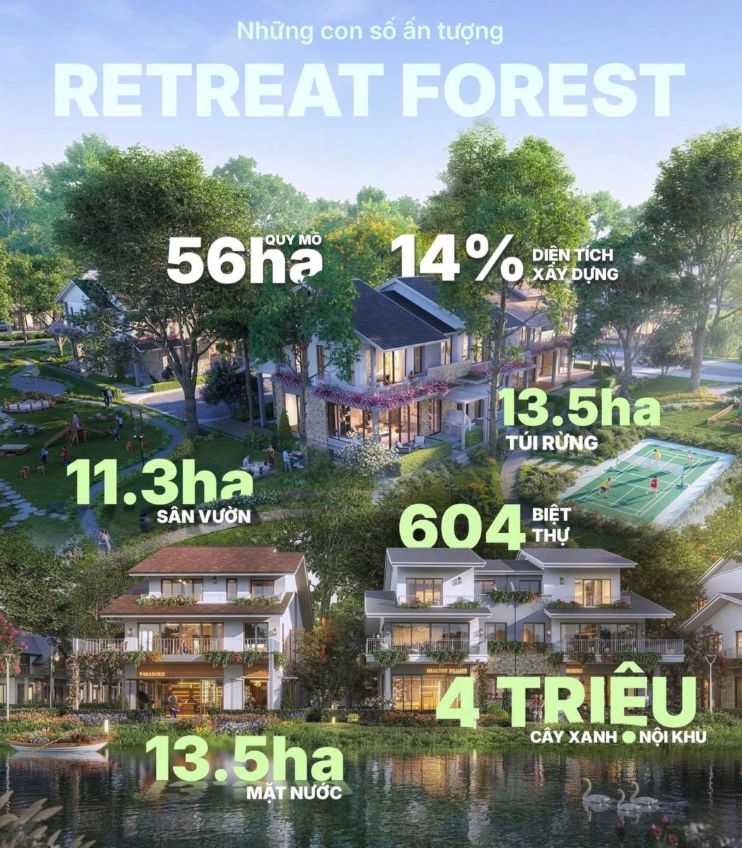retreat forest nhung con so an tuong