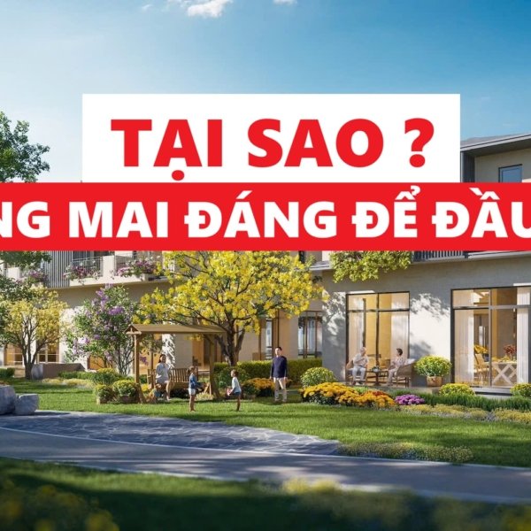 tai sao nen mua rung mai