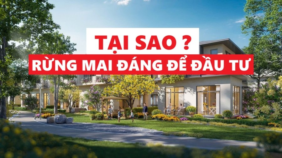 tai sao nen mua rung mai