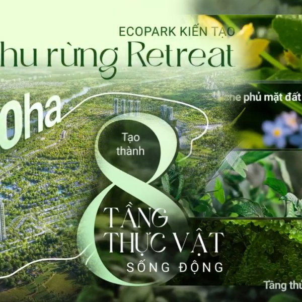 8 tang thu vat 220 ha