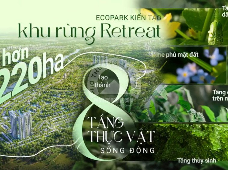 8 tang thu vat 220 ha