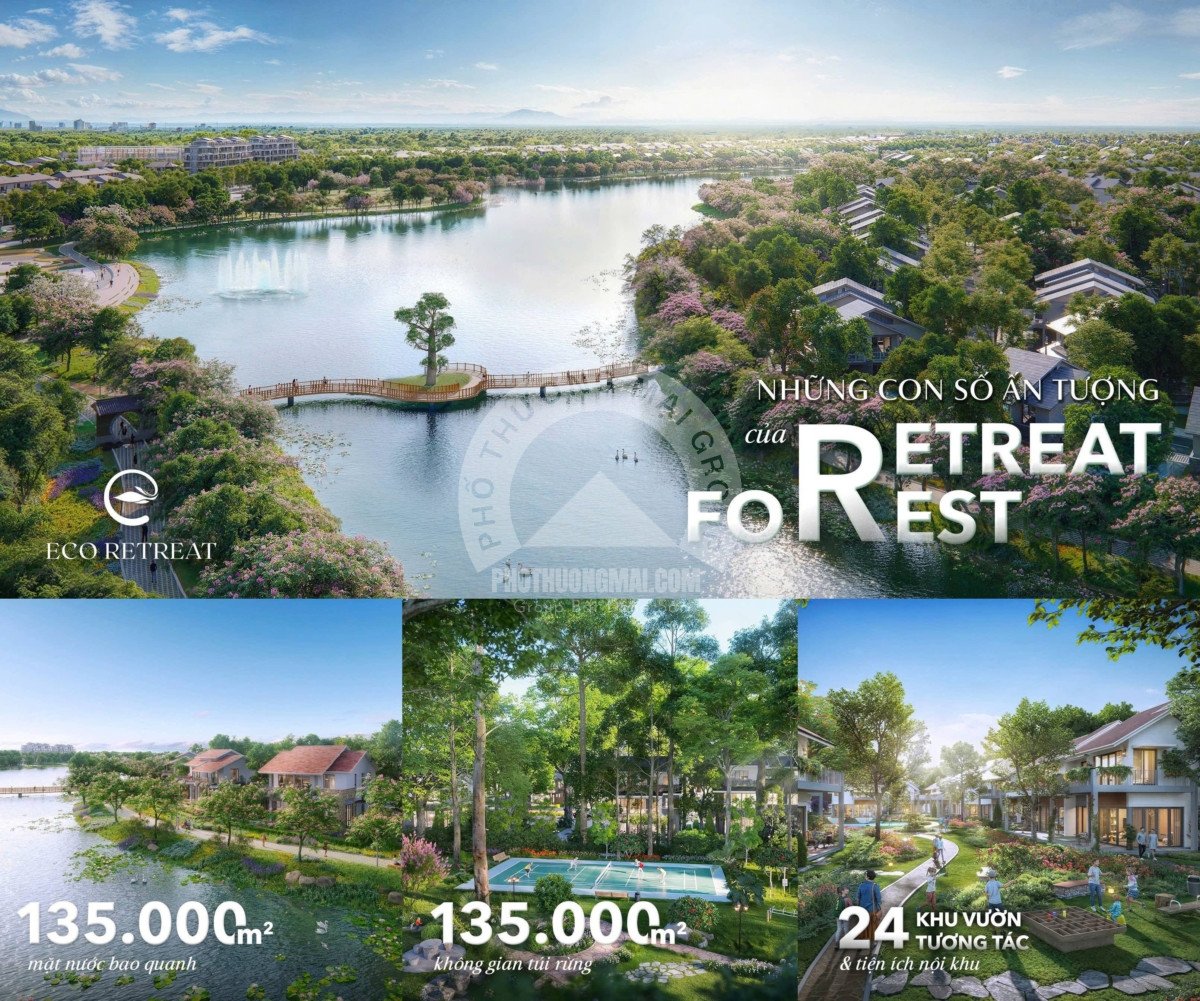 HINH ANH RETREAT FOREST
