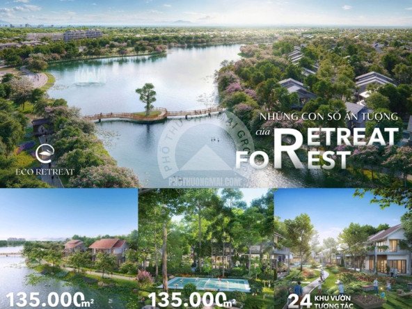 HINH ANH RETREAT FOREST