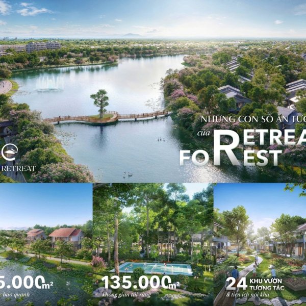 HINH ANH RETREAT FOREST